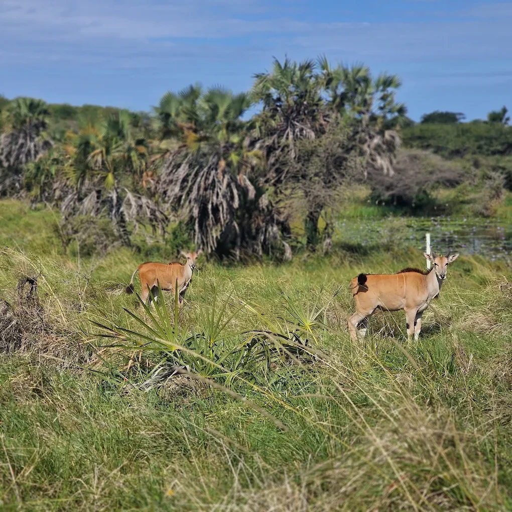 Nguuni Nature Sanctuary