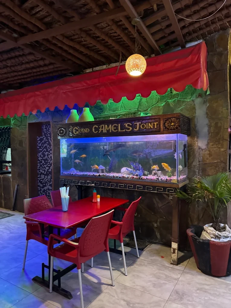 The Grand Camel's Joint